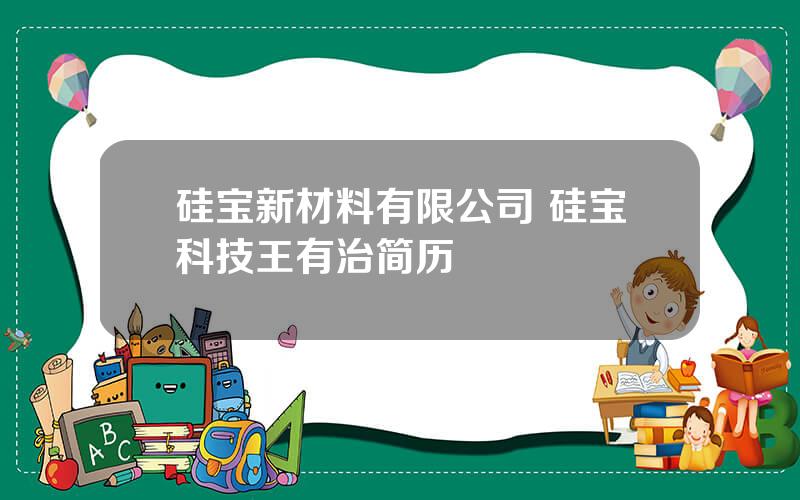 硅宝新材料有限公司 硅宝科技王有治简历